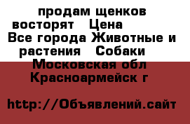 продам щенков восторят › Цена ­ 7 000 - Все города Животные и растения » Собаки   . Московская обл.,Красноармейск г.